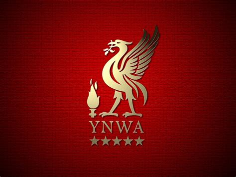 🔥 [50+] Liverpool Wallpapers Free Download | WallpaperSafari