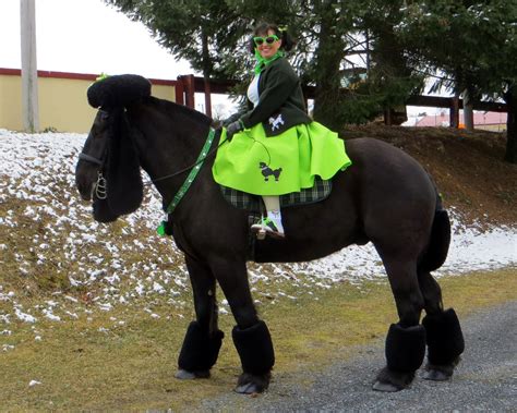 White Horse Dog Costume