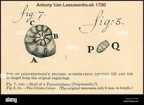 Anton van leeuwenhoek drawings hi-res stock photography and images - Alamy