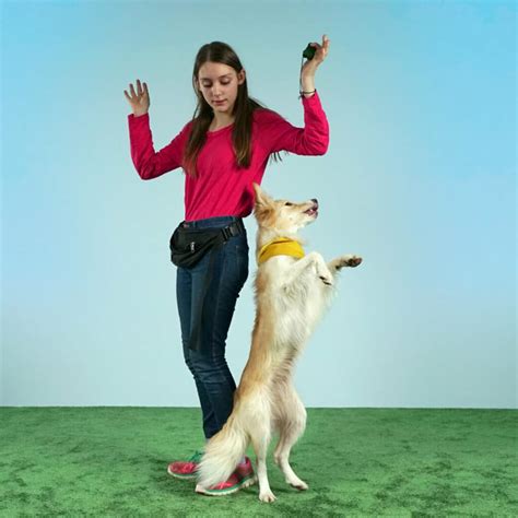 Top 25 Most Popular Dog Tricks (With Instructions)