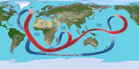 Climate Science Investigations South Florida - Thermohaline Circulation ...