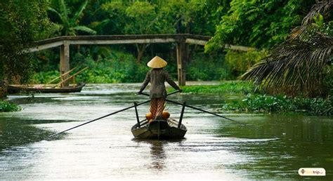 Some Facts of Mekong Delta May Surprise You