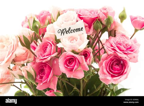 Welcome Card with Bouquet of Pink Roses Stock Photo: 111766554 - Alamy