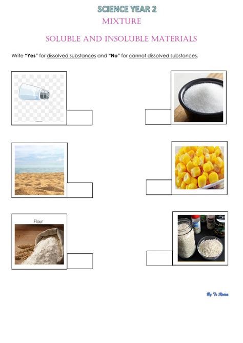 Soluble and Insoluble Substances worksheet | Worksheets, Female ...