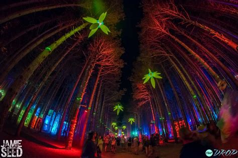 Sights from the Forest: 10 Photos of Electric Forest's Epic Art ...