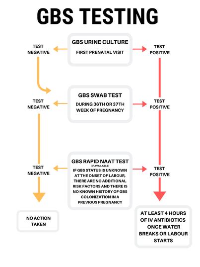 GBS Testing - Group B Strep International