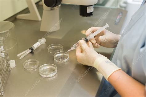 Assisted Reproductive Technology - Stock Image - C037/9837 - Science ...