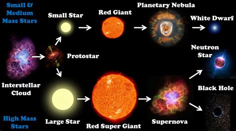 The Life Cycle Of Stars. - ppt download