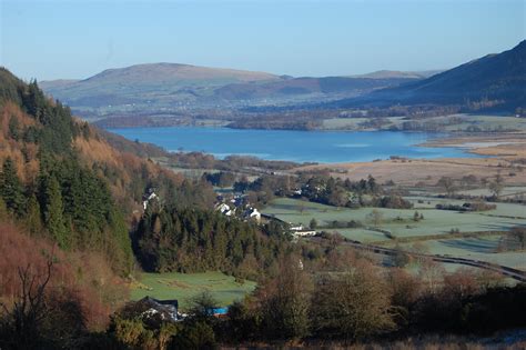 Britain's rarest freshwater fish, the Vendace, reappears in ...