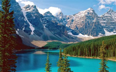 Nature of Life: Mountains Canada Alberta