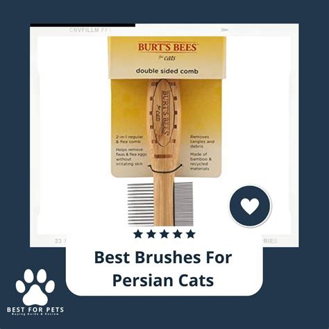 For Your Pet, The Best Brushes For Persian Cats - BestForPets.org