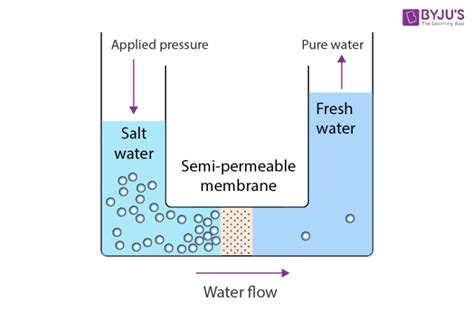 Reverse Osmosis (RO) - Definition, Working Principle, Process ...