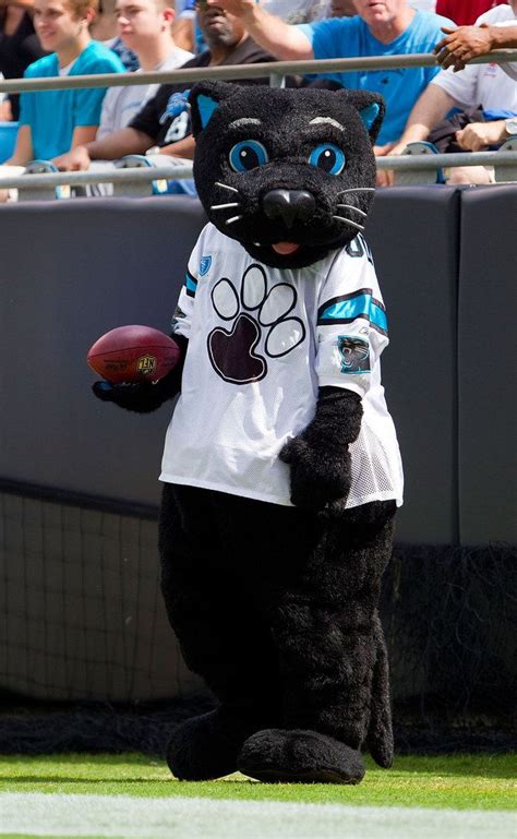 The Carolina Panthers Mascot Is Absolutely Purrfect in 2023 | Carolina ...