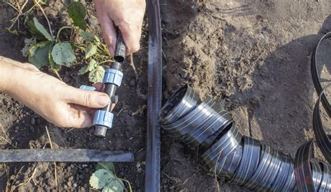 Drip Tape Vs. Drip Tubing: Which Is The Better Choice? - Your DIY Backyard