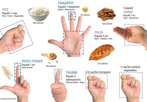 Portion Size Guide — Energy Balance Nutrition Consulting (EBNC) Improve ...