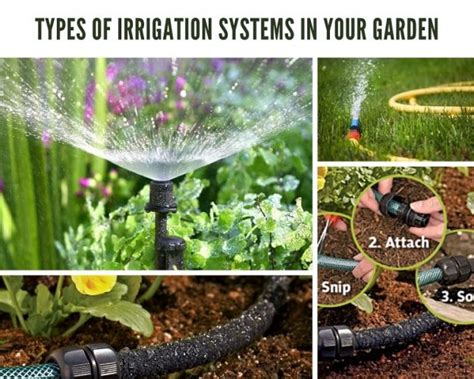 Best Types Of Irrigation Systems In Your Garden | GARDENS NURSERY