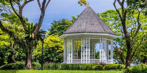 5 Facts About the Singapore Botanic Gardens