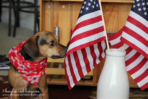 How Many Country Flags Feature Animals?