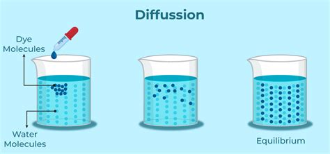 READ THE SCIENCE: 5.2 Explaining diffusion