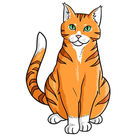 Orange Tabby Cat Drawing