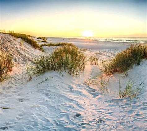 Download A Beach With Sand Dunes And Grass At Sunset | Wallpapers.com