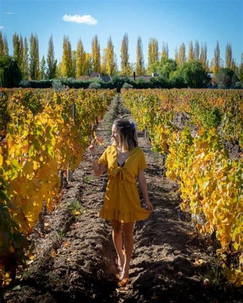 The BEST Mendoza Wine Tour: A Complete Guide