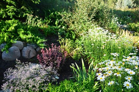 Zone Five and a Half: Rockery and Roll: Xeriscape gardening