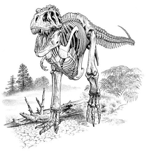 Dinosaur Skeleton Drawing at PaintingValley.com | Explore collection of ...