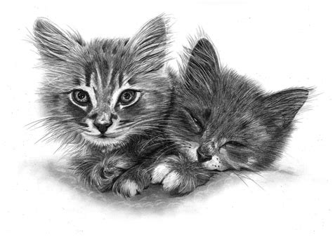 Pencil Pet Portraits from Photos - Drawings of Cats, Dogs & Horses