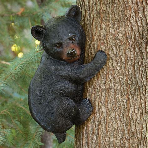 Black Bear Cubs In Tree