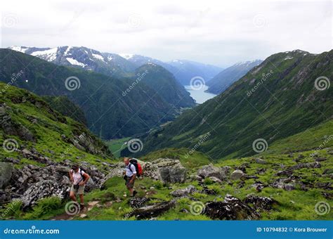 Hiking in fjord Norway stock photo. Image of nature, mountains - 10794832