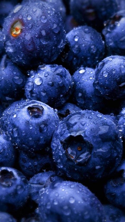 Blueberry Wallpapers - Wallpaper Cave