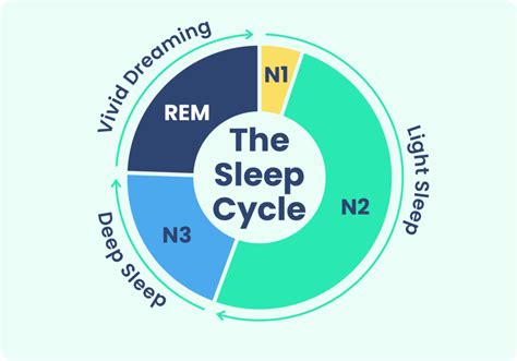 Understanding stages of sleep | SwissAire