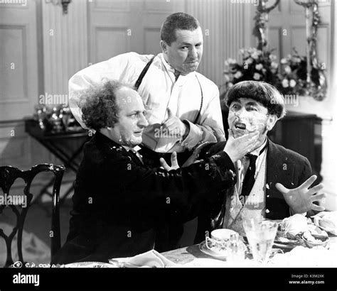 THE THREE STOOGES LARRY FINE, CURLY HOWARD, MOE HOWARD American ...