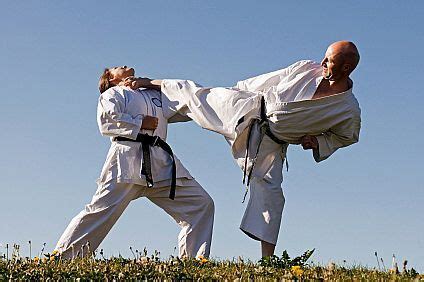 karati moves | All Martial arts info: June 2010 | Karate classes ...