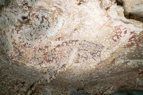 World's oldest cave painting in Sulawesi shows a pig and people ...