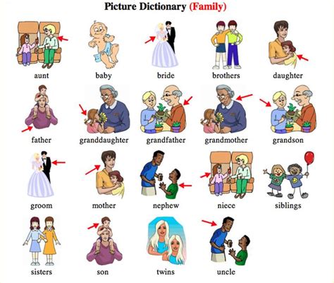 English Vocabulary: Members of the Family