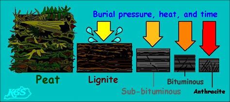 Types Of Coal