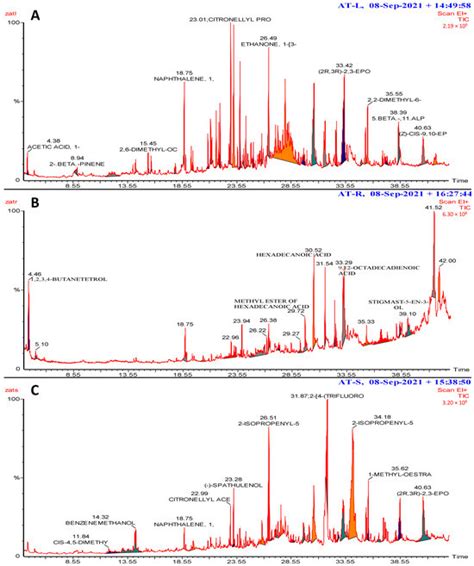 Plants | Special Issue : Plant Allelopathy: Mechanisms and Applications ...