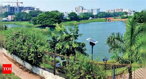 Visitor footfall to Chetpet eco-park rises | Chennai News - Times of India