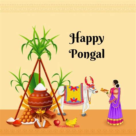 367+ Happy Pongal Wishes 2024 - Bhogi, Thai, Mattu, Kanum Msgs & SMS ...