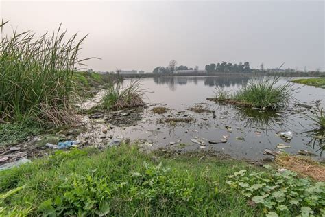 Revitalizing Natural Water Sources in Rural Punjab: Village Ponds ...