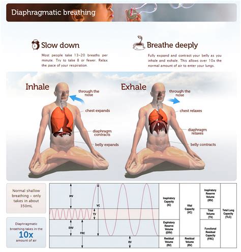 Deep Breathing Yoga Exercises | Pranayama, Diaphragmatic breathing ...