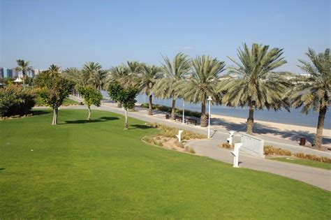 Creek Park Dubai | A Complete Guide