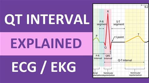 QT Interval Explained: ECG / EKG Interpretation Nursing NCLEX in 2022 ...