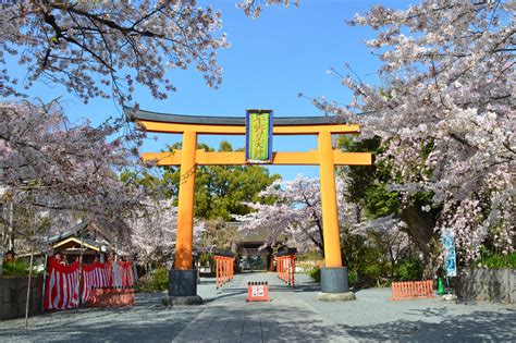 6 Best Temples to See Cherry Blossoms in Kyoto - Great Places in Kyoto ...