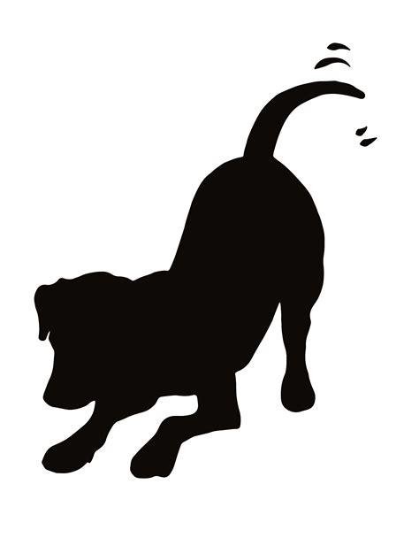 Cat Dachshund Kitten Clip art Puppy - cat png download - 1932*2480 ...