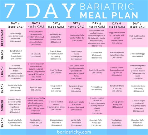 Bariatric Meal Planning Guide [7 Day Sample Meal Plan] - Bariatricity ...