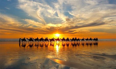 Cable Beach Sunset Camel Ride | Experience Oz