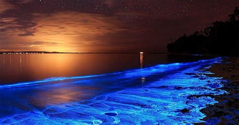 Glowing bioluminisant beach in Maldives - KNUDGE FACTORY